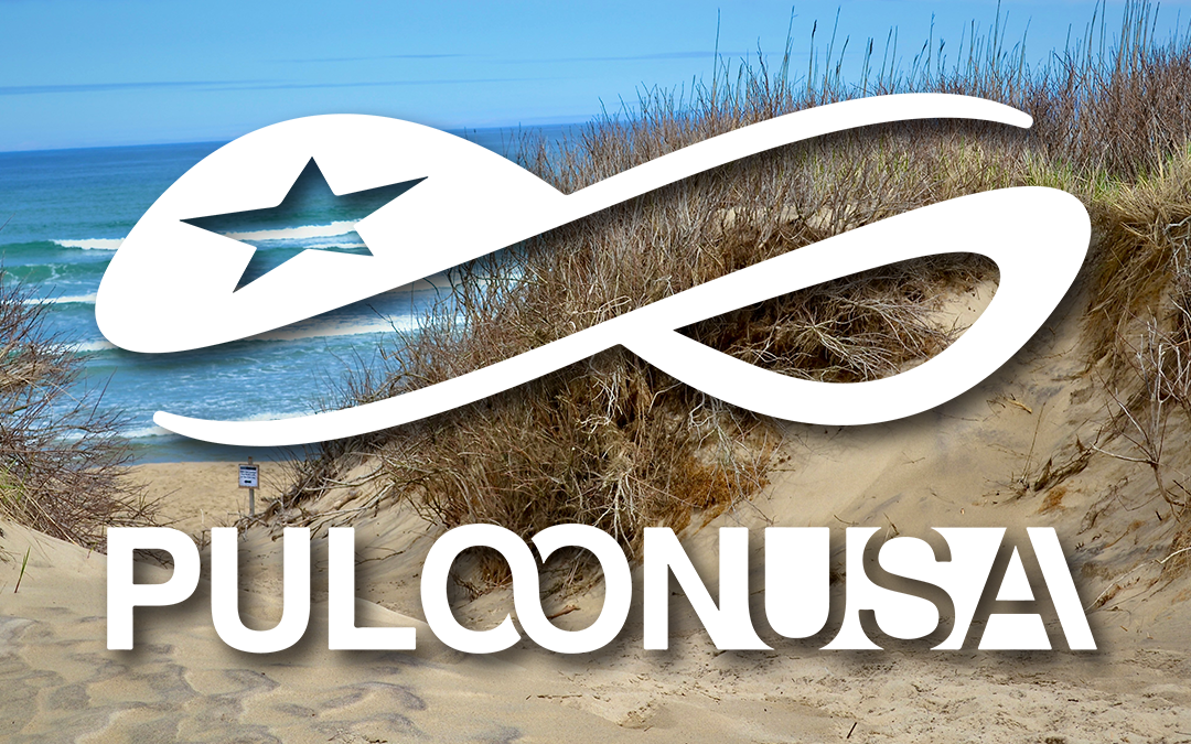 Enhance Your Massachusetts Business with Puloon ATMs: The Best Choice for Local Enterprises